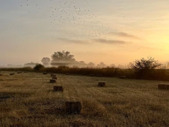 Inmueblesaqui.com Terreno 401 M2 En Palermo, Club De Golf Balvanera
